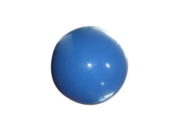 Physio Exercise Ball